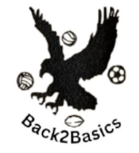 B2B Old Logo